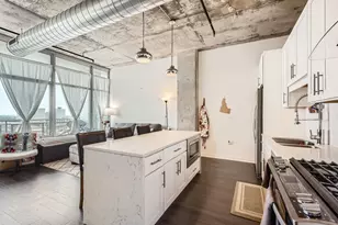 50 E 16th St, Chicago, IL 60616 - Photo 15