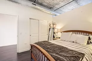 50 E 16th St, Chicago, IL 60616 - Photo 21