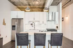 50 E 16th St, Chicago, IL 60616 - Photo 19