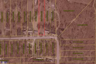 12361 E Russell St, Hopkins Park, IL 60958 - Photo 1