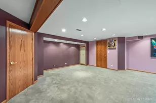 390 S Garden Ave, Roselle, IL 60172 - Photo 21