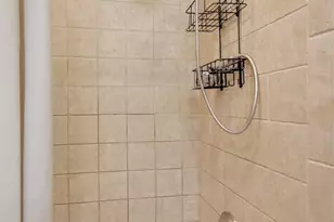 109 S Grove Ave, Oak Park, IL 60302 - Photo 11