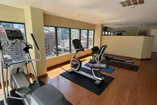 230 E Ontario St, Chicago, IL 60611 - Photo 37