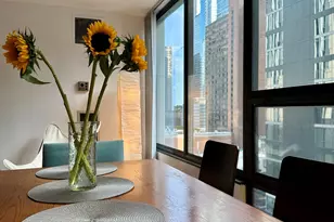 230 E Ontario St, Chicago, IL 60611 - Photo 9