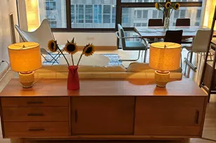 230 E Ontario St, Chicago, IL 60611 - Photo 11