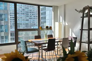 230 E Ontario St, Chicago, IL 60611 - Photo 7