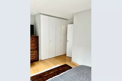 230 E Ontario Street #1206, Chicago, IL 60611 - Photo 29