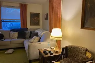 215 W Devlin St, Spring Valley, IL 61362 - Photo 5