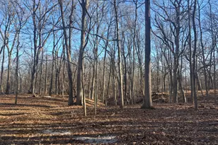 1761-1762 Sunflower Dr, Varna, IL 61375 - Photo 1