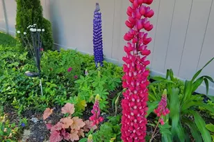 1770 W Windmill Ct, Addison, IL 60101 - Photo 49