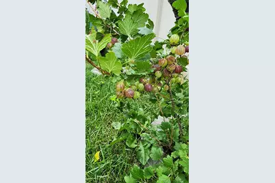 1770 W Windmill Court, Addison, IL 60101 - Photo 51