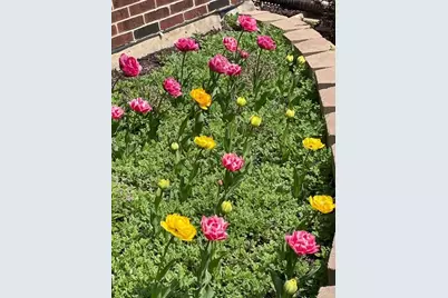 1770 W Windmill Court, Addison, IL 60101 - Photo 57