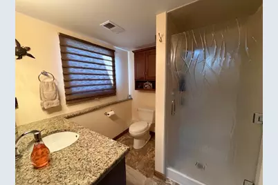 1110 Rushwood Avenue, Shorewood, IL 60404 - Photo 25