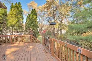 1650 W 105th St, Chicago, IL 60643 - Photo 35