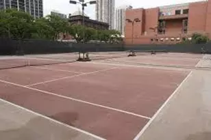 1455 N Sandburg Terrace, Chicago, IL 60610 - Photo 3