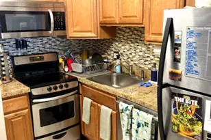 1455 N Sandburg Terrace, Chicago, IL 60610 - Photo 5