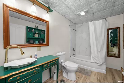 309 Main Street, Savanna, IL 61074 - Photo 43