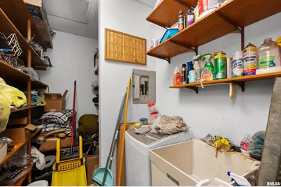 309 Main Street, Savanna, IL 61074 - Photo 17