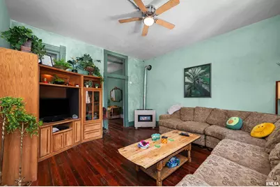 309 Main Street, Savanna, IL 61074 - Photo 39