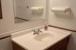 3838 W 111th St, Chicago, IL 60655 - Photo 15