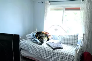 3407 Fountainbleau Dr, Hazel Crest, IL 60429 - Photo 13