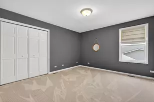 25004 Chelsea Ln, Plainfield, IL 60544 - Photo 21