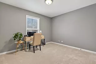 25004 Chelsea Ln, Plainfield, IL 60544 - Photo 29