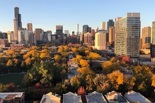 1530 S State St, Chicago, IL 60605 - Photo 19