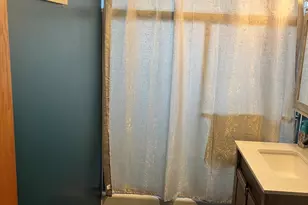 12409 44th Ct, Alsip, IL 60803 - Photo 29