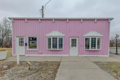 135 E Main Street, Glenwood, IL 60425 - Photo 1