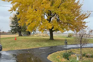 2728 W Brooklyn Rd, Compton, IL 61318 - Photo 39