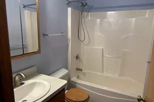 847 Covey Lane, Coal City, IL 60416 - Photo 9