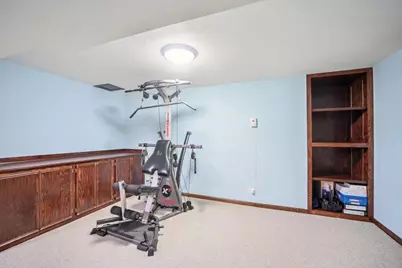 233 Wildflower Lane, Round Lake Beach, IL 60073 - Photo 23