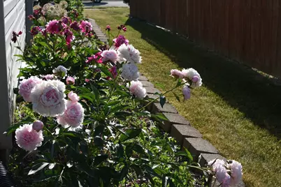 233 Wildflower Lane, Round Lake Beach, IL 60073 - Photo 27