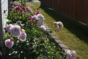 233 Wildflower Ln, Round Lake Beach, IL 60073 - Photo 27