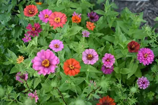 233 Wildflower Ln, Round Lake Beach, IL 60073 - Photo 31