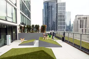 1210 S Indiana Ave, Chicago, IL 60605 - Photo 5