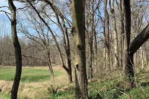 0 Winterbottom Rd, Morris, IL 60450 - Photo 1