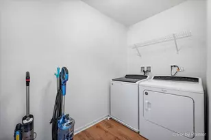 250 Water Lily Ln, Elgin, IL 60124 - Photo 29