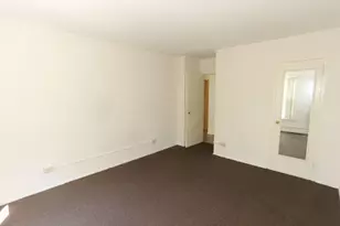 7333 N Ridge Blvd, Chicago, IL 60645 - Photo 13