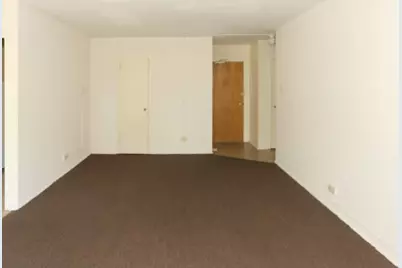 7333 N Ridge Boulevard #305, Chicago, IL 60645 - Photo 9