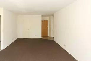 7333 N Ridge Blvd, Chicago, IL 60645 - Photo 9