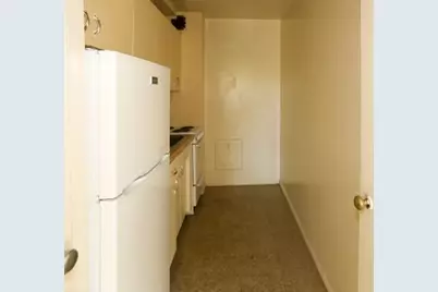 7333 N Ridge Boulevard #305, Chicago, IL 60645 - Photo 3