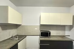 7149 S Constance Ave, Chicago, IL 60649 - Photo 3