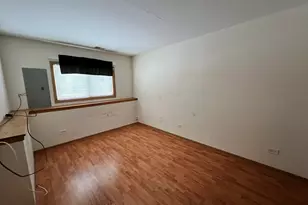 8256 W Chestnut Ct, Frankfort, IL 60423 - Photo 21