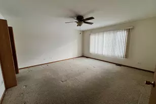 8256 W Chestnut Ct, Frankfort, IL 60423 - Photo 9