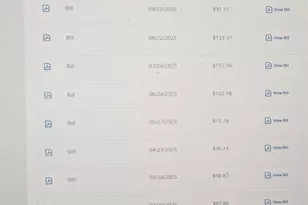 156 Park Pl, Grayslake, IL 60030 - Photo 43