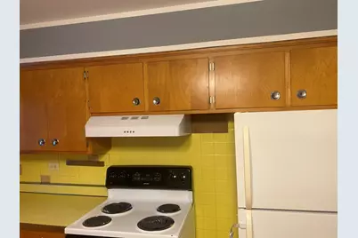 156 Park Place, Grayslake, IL 60030 - Photo 21