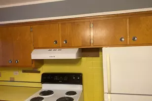 156 Park Pl, Grayslake, IL 60030 - Photo 21