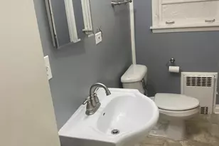 156 Park Pl, Grayslake, IL 60030 - Photo 13